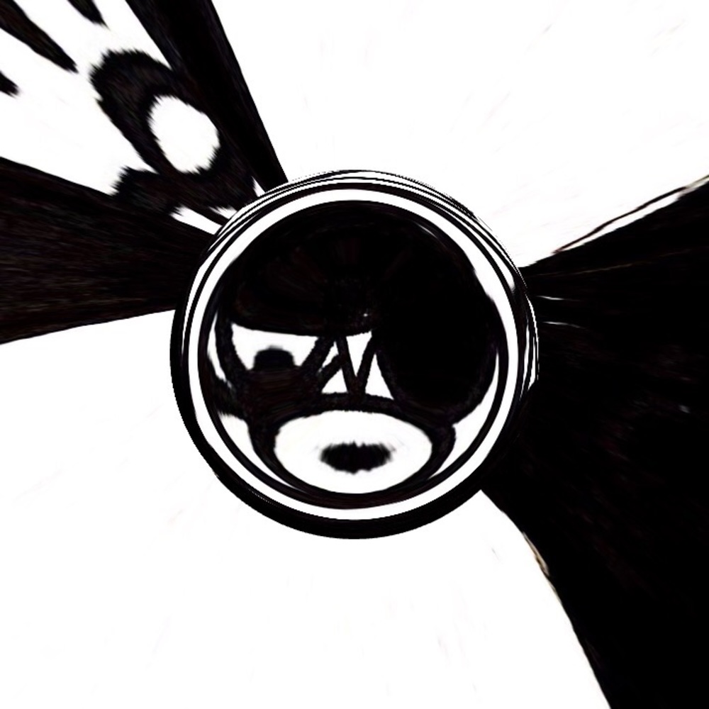 Meet your Posher, Ameer